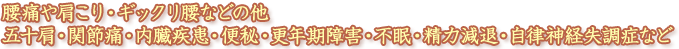 腰痛や肩こり・ギックリ腰などの他、五十肩・関節痛・内臓疾患・便秘・更年期障害・不眠・精力減退・自律神経失調症など