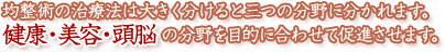 均整術の治療法は大きく分けると三つの分野に分かれます。健康・美容・頭脳の分野を目的に合わせて促進させます。